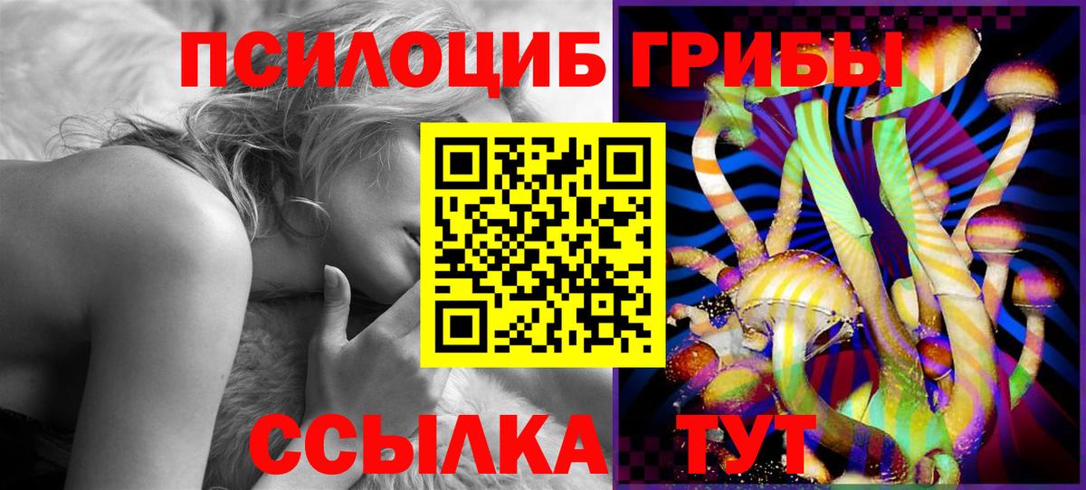 Курган  закладки  Вход с VPN  Псилоцибиновые грибы ЛСД 