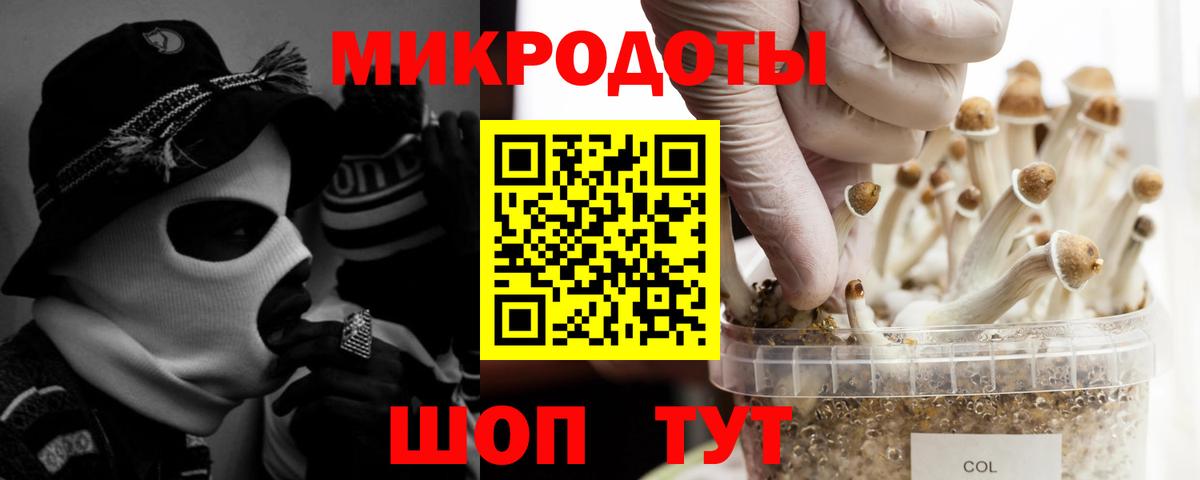 Псилоцибиновые грибы Magic Shrooms Курган